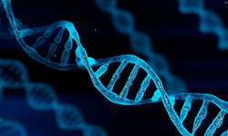 İhalesi yapıldı: DNA verileri satılıyor...