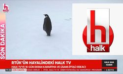 Halk TV’den RTÜK’e mizahi tepki: 'RTÜK’ün hayalindeki Halk TV' notuyla ana haberde penguen belgeseli!