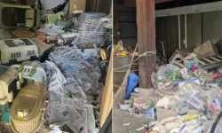 Evden 100'den fazla ölü kedi çıktı