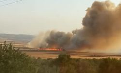 Gaziantep'te tarlalar alevlere teslim oldu
