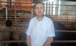 Fotoğraf çekmek isterken canından oldu