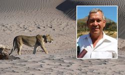 Dünyaca ünlü Alman iş insanı Bernd Kebbel'i safaride aslanlar yedi