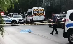 Korkutucu olay: Yola yatıp bekledi, üzerinden 2 araç geçti!