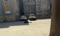 Sınava giremeyen genç baygınlık geçirdi