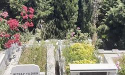 Mezarlıkta bebek cesedi bulundu!