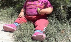 Uzmanı uyardı: Her 10 çocuktan 1'i obez!