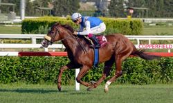 Tüyosu olan kazanır! 9 Aralık at yarışı tahminleri