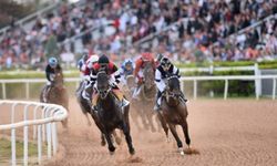 Tüyosu olan kazanır! 1 Aralık at yarışı tahminleri