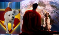 Superman’ın köpeği Krypto kahraman oldu: Sahiplenme aramaları %513 arttı!