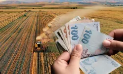 2025 Aralık çiftçi destek ödemesi yattı mı, ne zaman yatacak? 2025 Aralık çiftçi destek ödemesi sorgulama ekranı