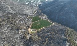 Türkiye'yi ağlatan Bursa yangınında şaşırtan detay!