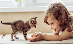 Ünlü nörolog uyardı: Kedi tırmığı hayatınızı karartabilir