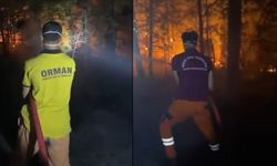 Orman Bakanlığı’ndan dikkat çeken paylaşım! Tepki yağıyor
