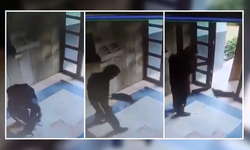 Görüntüler infial yaratmıştı: Kediyi öldüren saldırgan yakalandı!