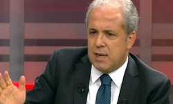 Şamil Tayyar isyan etti: 'Bizim mahalledeki yılışıkların, yalakaların hedefi oluyorum'