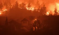 4 ilde çıkan orman yangınlarıyla ilgili yeni gelişme