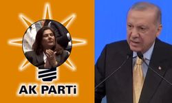 Cumhurbaşkanı Erdoğan’dan Özlem Çerçioğlu’na tam destek: 'Hadi oradan!'