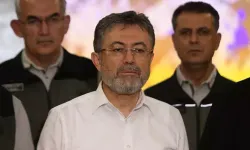 Orman yangınında 4 şüpheli gözaltında, 2 yangın sürüyor