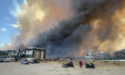 Arazide başladı, ormana sıçradı! Çanakkale yanıyor