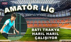 Batı Trakya harıl harıl çalışıyor