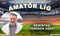 Demirtaş yeniden aday!