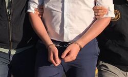 Gürcistan polisi ile ortak operasyon: Çok sayıda gözaltı var