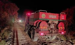 Denizli'de çıkan orman yangınına müdahale devam ediyor