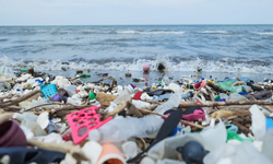 Tarihi fırsat kaçtı: Geleceğimizi yok eden plastik kullanımına sınır getiremediler!