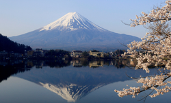 Japonya'da depremde neden kimse ölmüyor diye merak edenlere... İşte bu yüzden