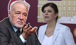 Meral Danış Beştaş’tan İlber Ortaylı’ya sert çıkış: 'Bölücülüğün kendisi'