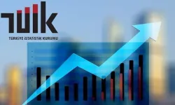 TÜİK’ten anket cevaplamayana 15 bin lira ceza! Vatandaşlar şokta
