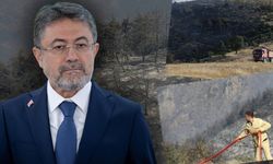 "Otel yapılacak" iddialarına sert yanıt: Yanan her karış toprak yeşerecek