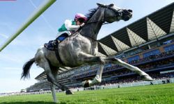 Tüyosu olan kazanır! 31 Ekim at yarışı tahminleri