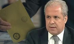 Şamil Tayyar'dan bomba açıklama! Erken seçim tarihi verdi