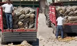 CHP'li ismin 'patates' isyanına soruşturma! 17 milyon TL'ye kadar ceza alabilir