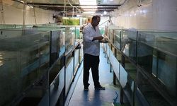 Akvaryum merakıyla başladığı balık yetiştiriciliğinde yıllık 2 milyon üretime ulaştı