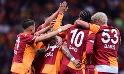 Aslan sahasında kral