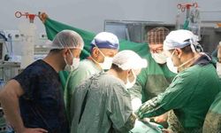 3 santimetrelik böbrek tümörü parsiyel nefrektomi ile çıkartıldı
