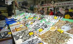 İstanbul'da tezgahlar küçük balıklarla şenlendi: Fiyatlar ne durumda?