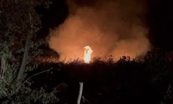 İznik’te korkutan yangın: Vatandaşlar ekiplere haber verdi