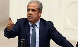 Şamil Tayyar AK Parti'deki istifa silsilesini değerlendirdi: 'Sayı daha da artacak'