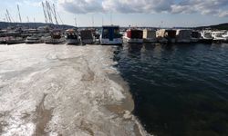 4 haftamız var yoksa Marmara'nın kabusu geri dönecek! Balıkçılık bitebilir!