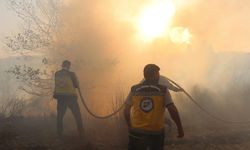 Suriye'nin 4 gündür yangınların sürdüğü Lazkiye ilinde 1 sivil savunma görevlisi hayatını kaybetti