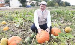 Osmangazi Belediyesi ata tohumlarını geleceğe taşıyor