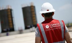 KİT'lerde en yüksek ödenek 332,6 milyar lirayla TPAO'ya verildi