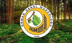 OGM işçi alımı başvurusu ne zaman, OGM 262 işçi alımı için başvuru şartları neler? İşte başvuru ekranı ve yöntemi