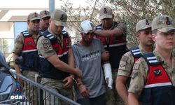 Portakal bahçesinde 150 bin cinayeti