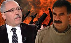 Abdulkadir Selvi’den Öcalan yorumu: 'SDG için elini taşın altına koymalı'