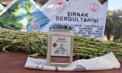 Dergul tahini tescillenince Şırnak'ta susam üretim alanı arttı
