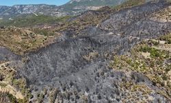 Alanya'da yangından zarar gören alanlar havadan görüntülendi
